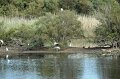 30.9.2012 Saline di Priolo (282)